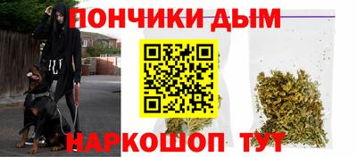 молекула духа Новозыбков