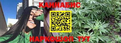 стафф Новокубанск