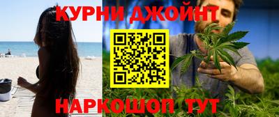 стафф Новокубанск