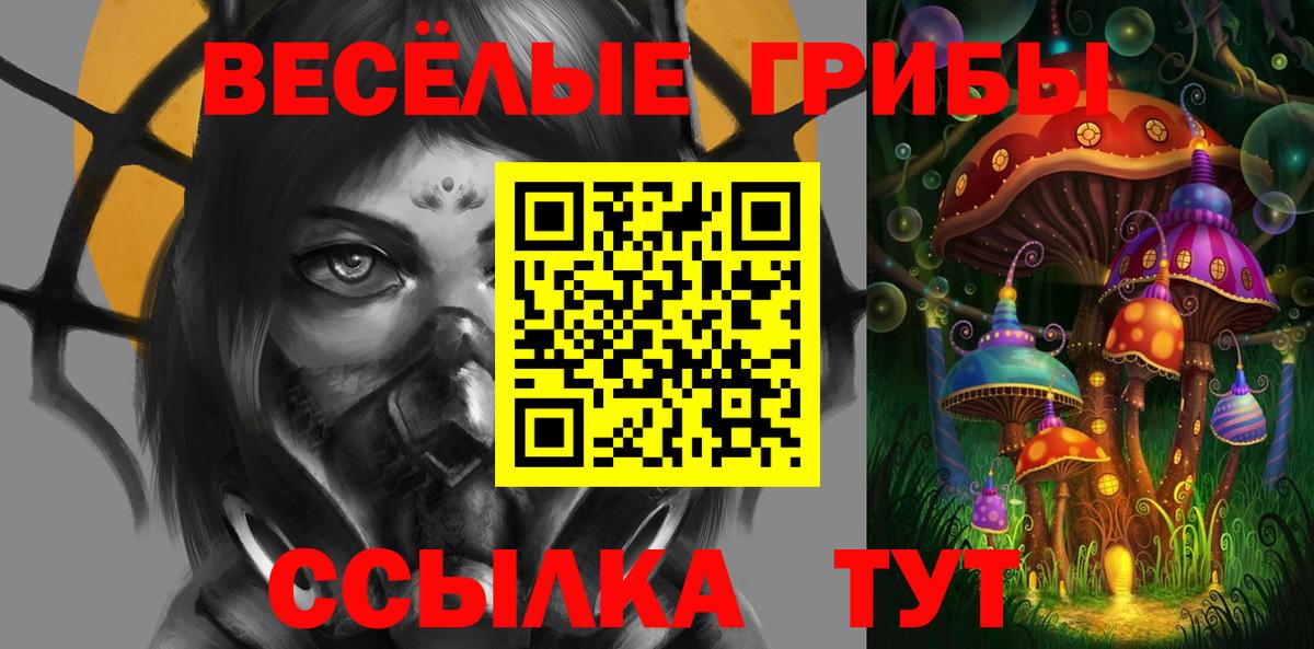 Псилоцибиновые грибы Cubensis Светлоград
