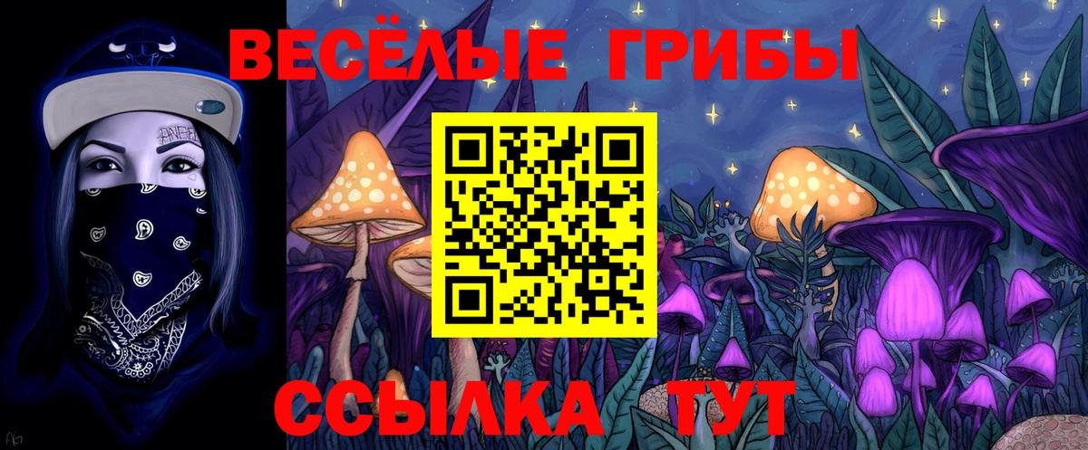 Псилоцибиновые грибы MAGIC MUSHROOMS  Галлюциногенные грибы Cubensis  Вход с VPN  Светлоград 